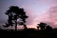 11.11.08 Golf Tournament
